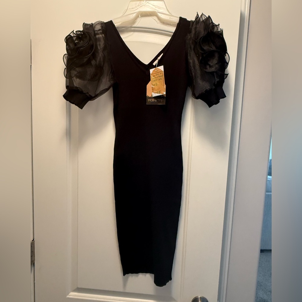 Elegant Black Dress with Sheer Sleeves